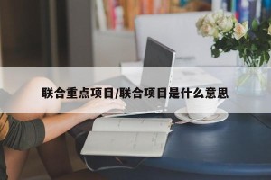 联合重点项目/联合项目是什么意思