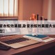 【卧室衣柜效果图,卧室衣柜效果图大全图片小户型】