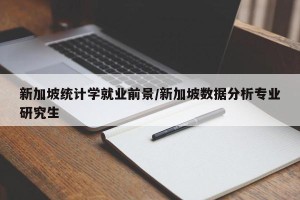 新加坡统计学就业前景/新加坡数据分析专业研究生
