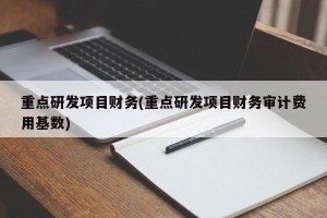 重点研发项目财务(重点研发项目财务审计费用基数)